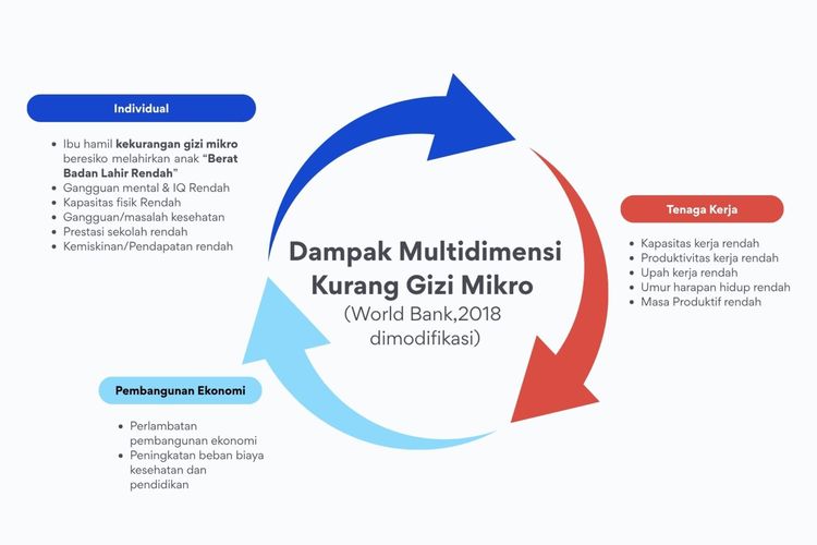 Dampak multidimensi dari kurangnya gizi mikro.(KFI)